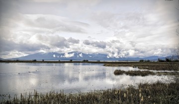 upper klamath lake wildlife refuge
